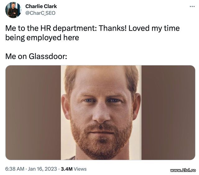 Thanks! Loved being employed here. On Glassdoor