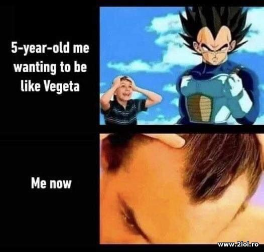 5 year old me wanting to be Vegeta