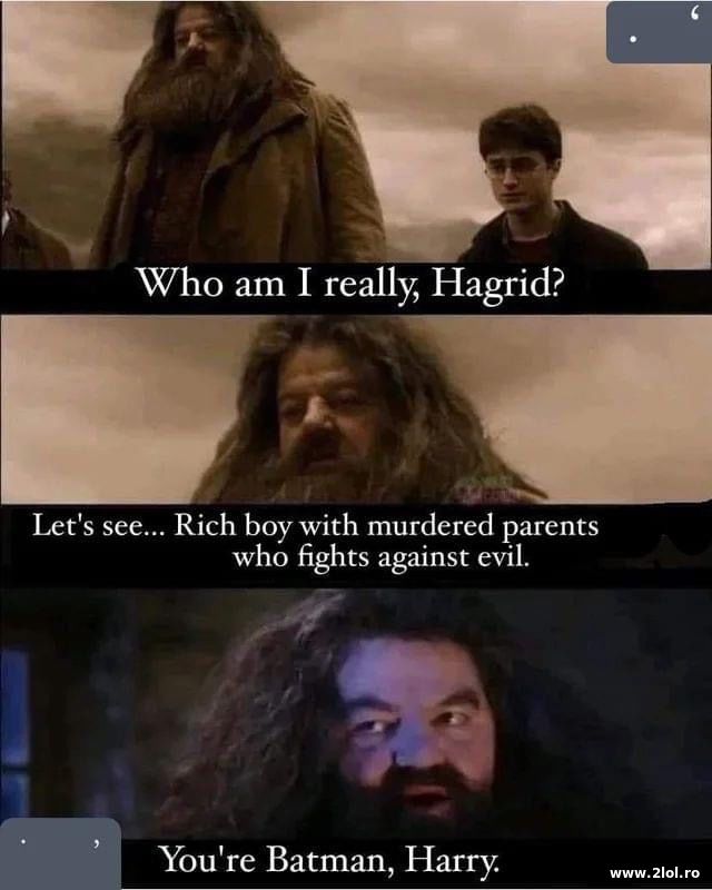 Who am I really, Hagrid? poze haioase