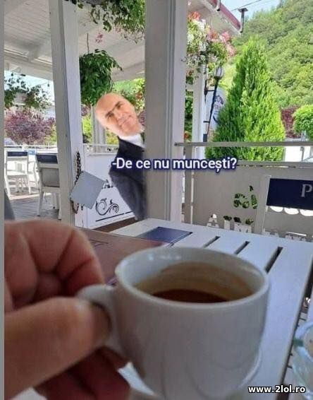 De ce nu muncesti? Ilie Bolojan poze haioase