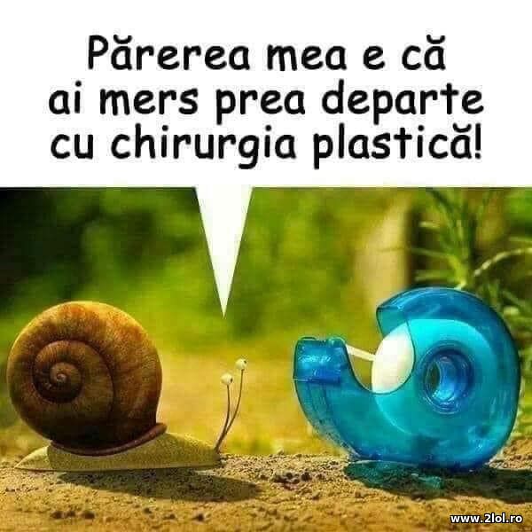 Parerea mea e ca ai mers prea departe poze haioase