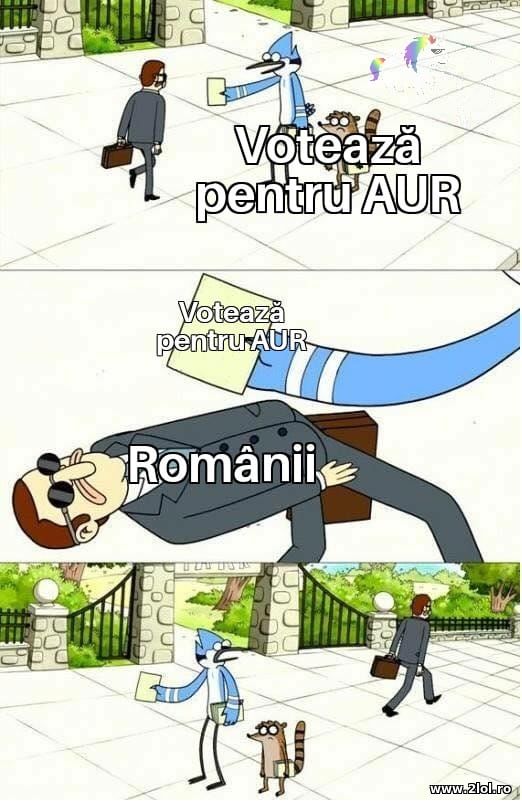 Voteaza pentru AUR poze haioase