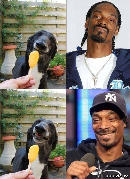 Seamănă cu Snoop Dog? poze haioase
