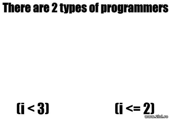 There are 2 types of programmers poze haioase