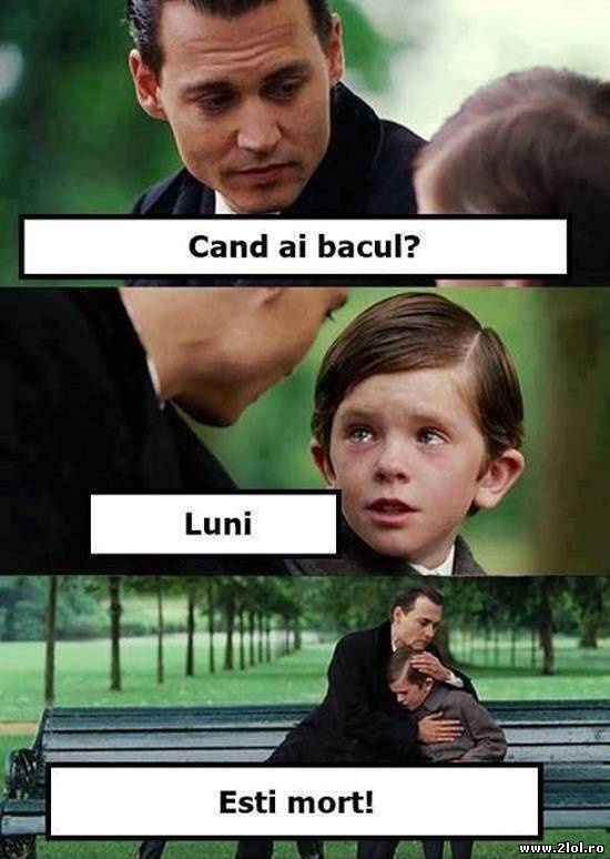 Când ai bacul? poze haioase