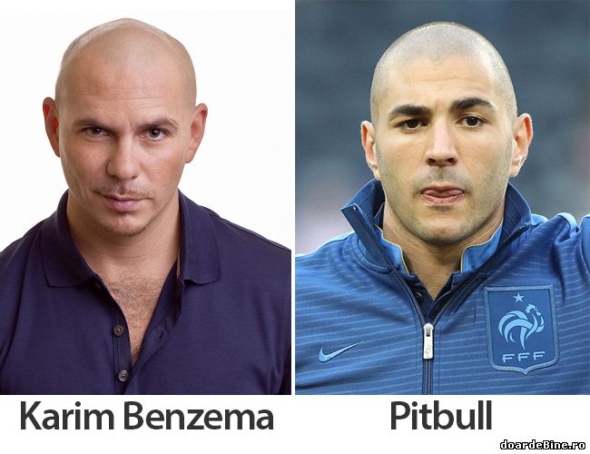 Pitbull seamănă cu Karim Benzema? poze haioase