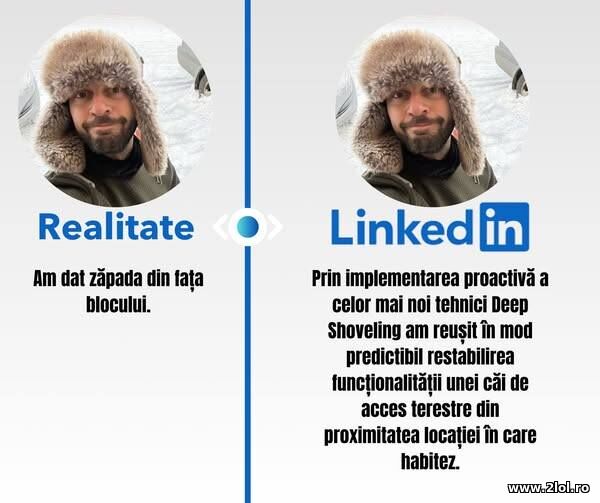 Realitate vs LinkedIn poze haioase