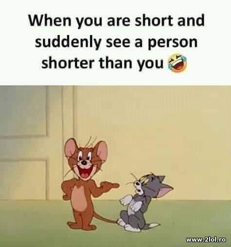 When you are short and see a person shorter poze haioase