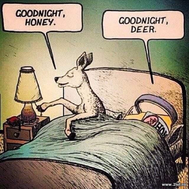 Goodnight honey. Goodnight deer poze haioase