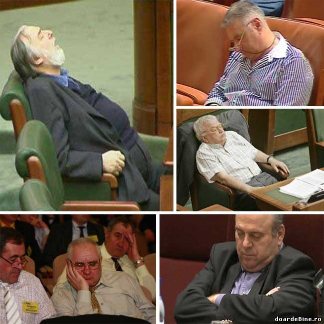 Grea-i viața de parlamentar poze haioase