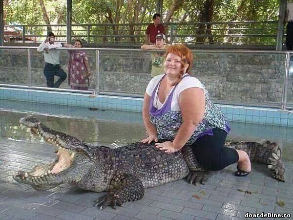 Răutăcioșii ar spune: "Săracul crocodil" poze haioase