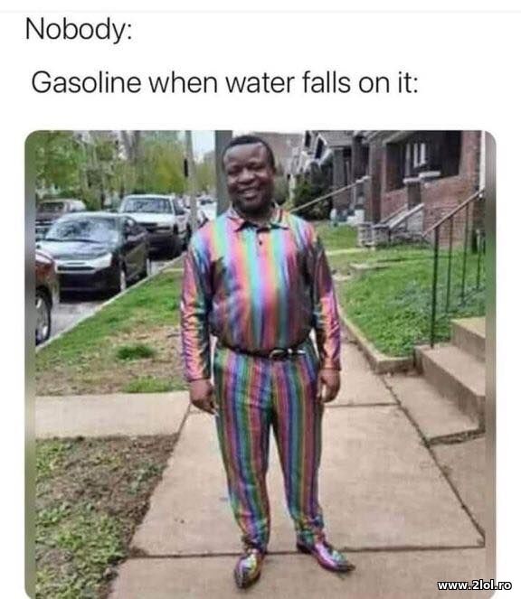 Gasoline poze haioase