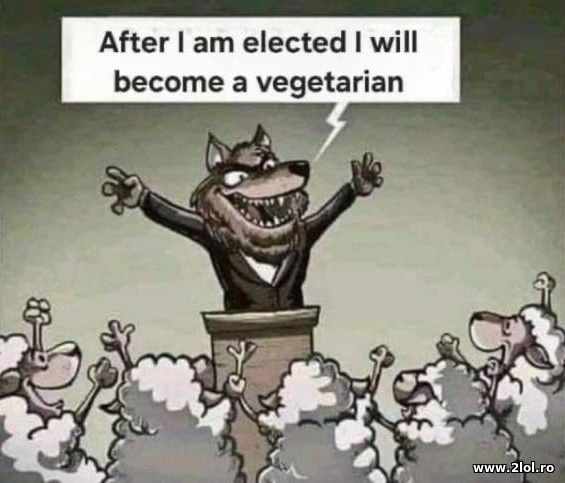 After I am elected I will become vegetarian poze haioase