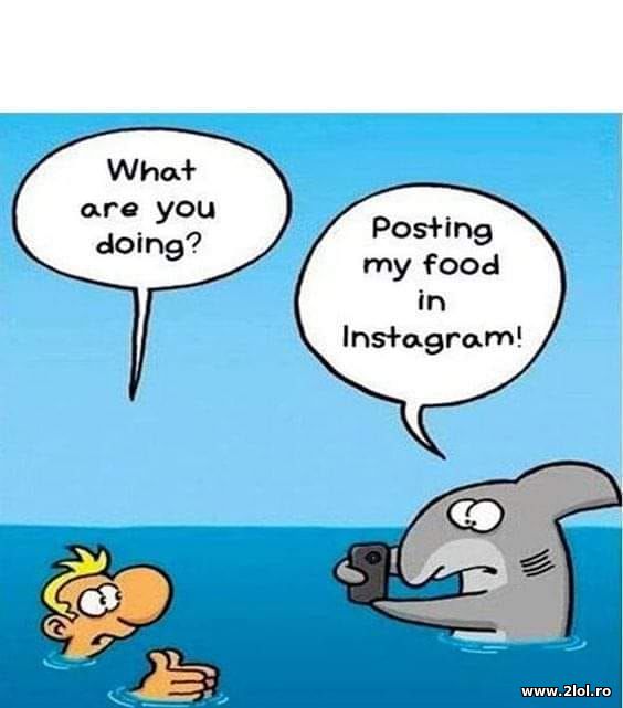 Posting my food in Instagram poze haioase
