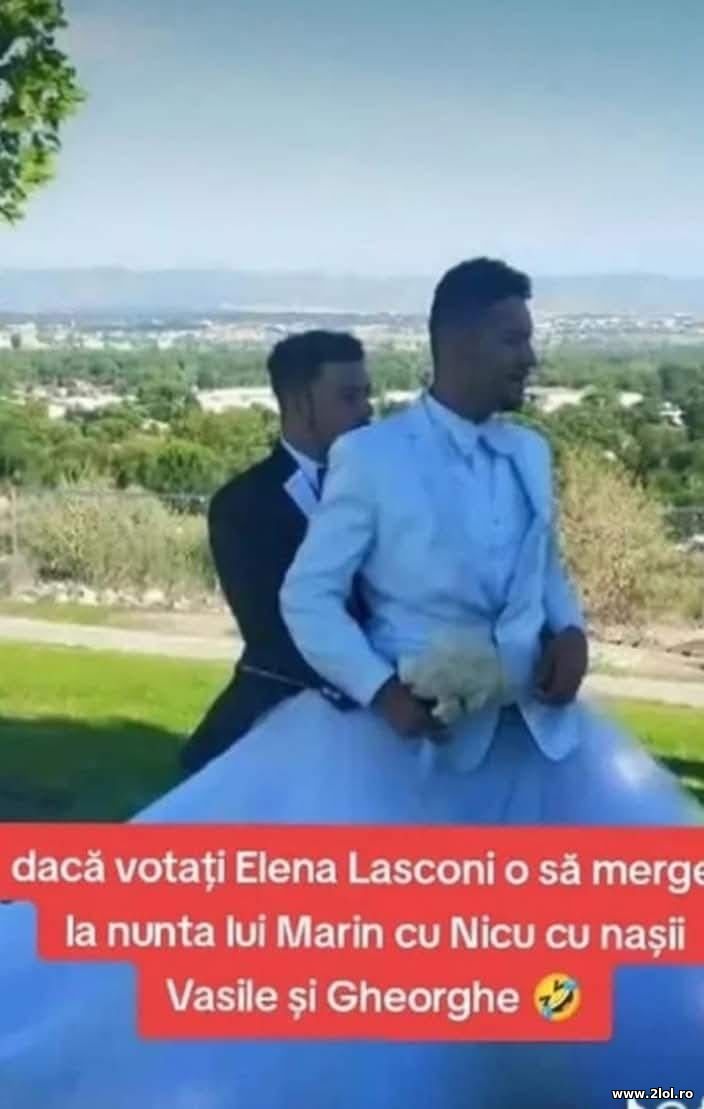 Daca votati cu Elena Lasconi | poze haioase