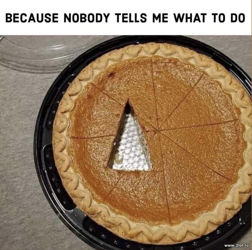 Nobody tells me what to do | poze haioase