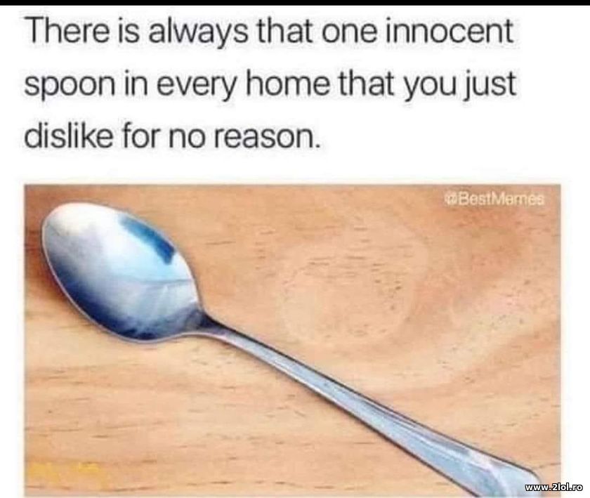 There is always that one innocent spoon | poze haioase