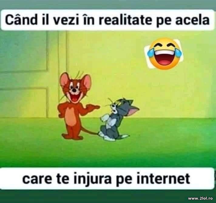 Ala care te injura | poze haioase