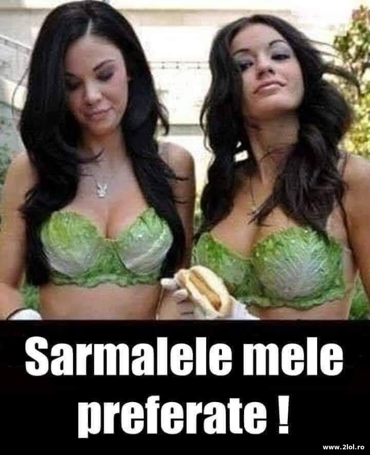 Sarmalele mele preferate | poze haioase
