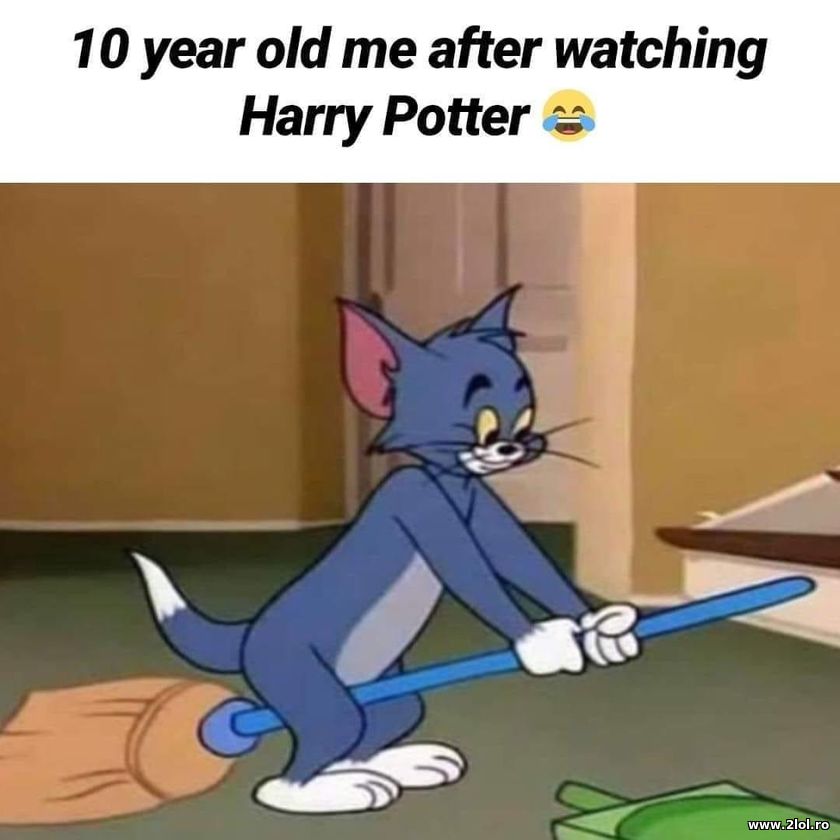 10 old me after watching Harry Potter | poze haioase