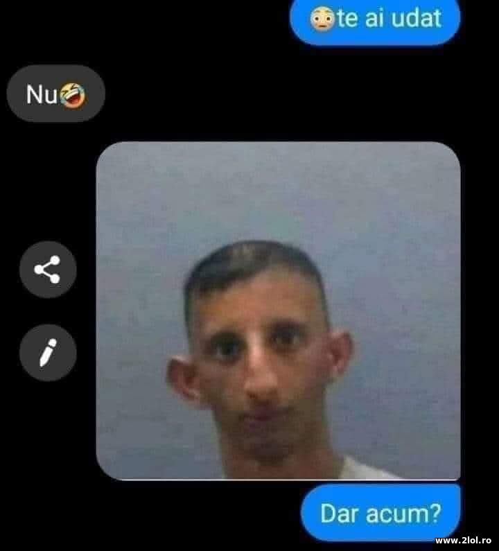 Te-ai udat? | poze haioase