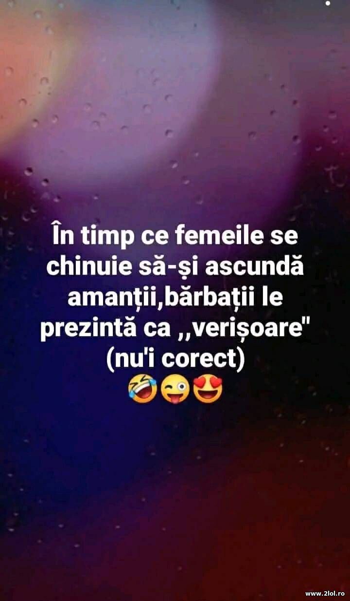 Amantii | poze haioase