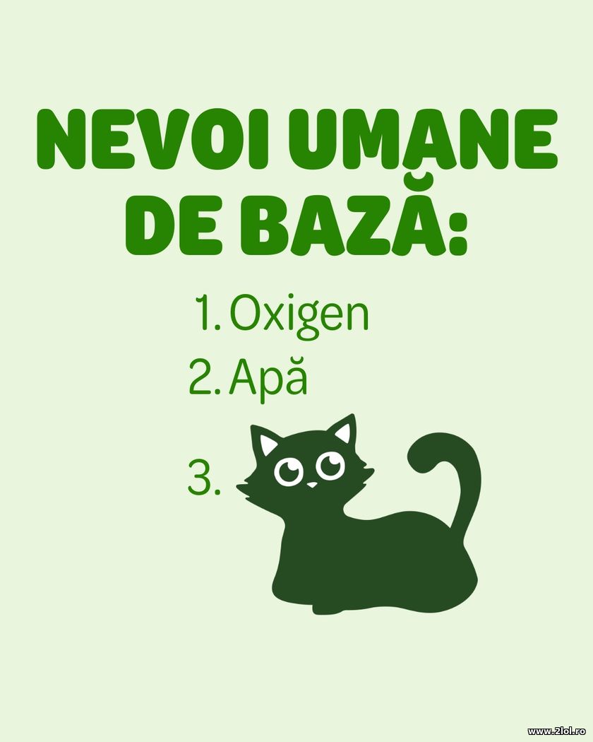 Nevoi umane de baza | poze haioase