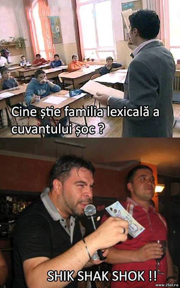 Familia lexicală a cuvântului şoc | poze haioase