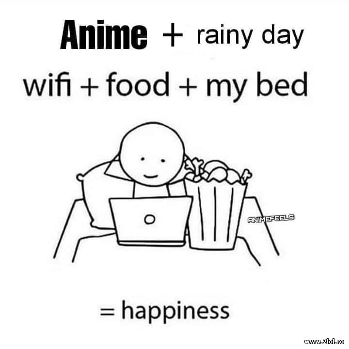 Animate + rainy day + wifi + food + my bed | poze haioase