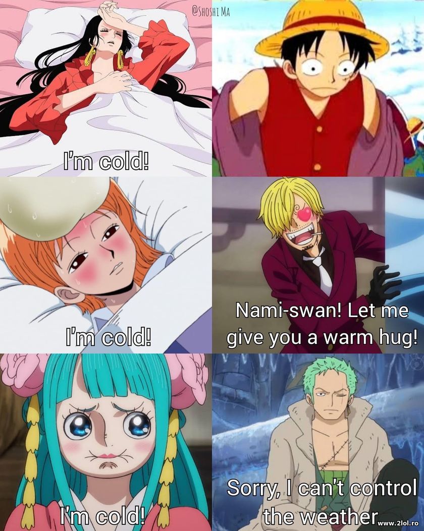 I'm cold - One Piece | poze haioase