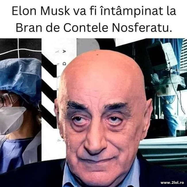 Elon Musk va fi intampinat la Bran de Nosferatu | poze haioase