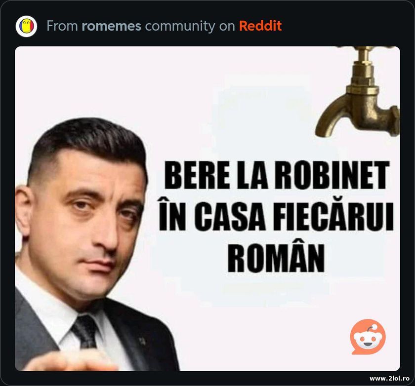 Bere la robinet in casa fiecarui roman | poze haioase