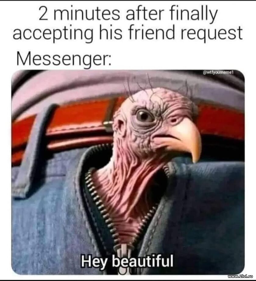 2 minutes after accepting his friend request | poze haioase