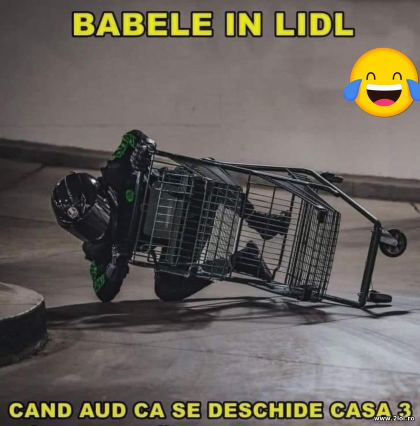 Babele din Lidl cand se deschid casele | poze haioase