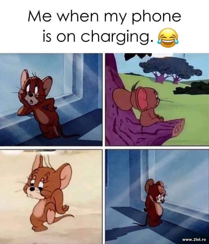 Me when my phone is on charging | poze haioase