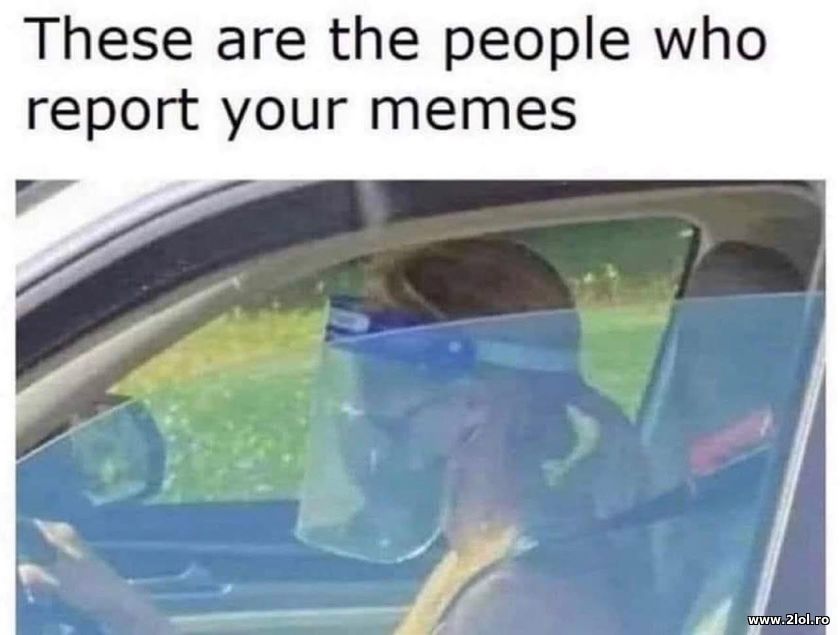 People who report your memes | poze haioase