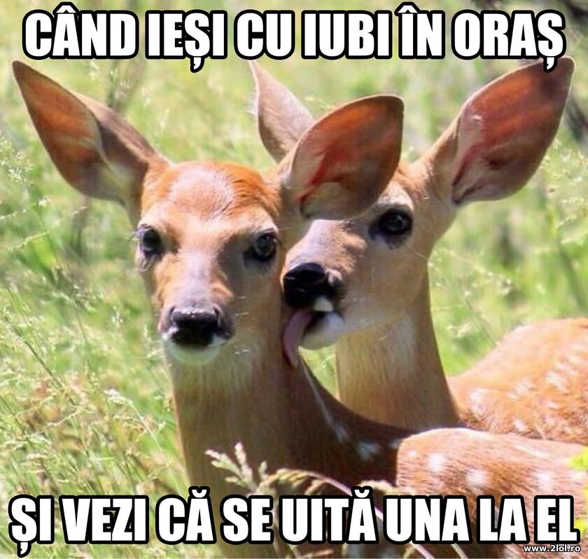 Cand iesi cu iubi in oras | poze haioase