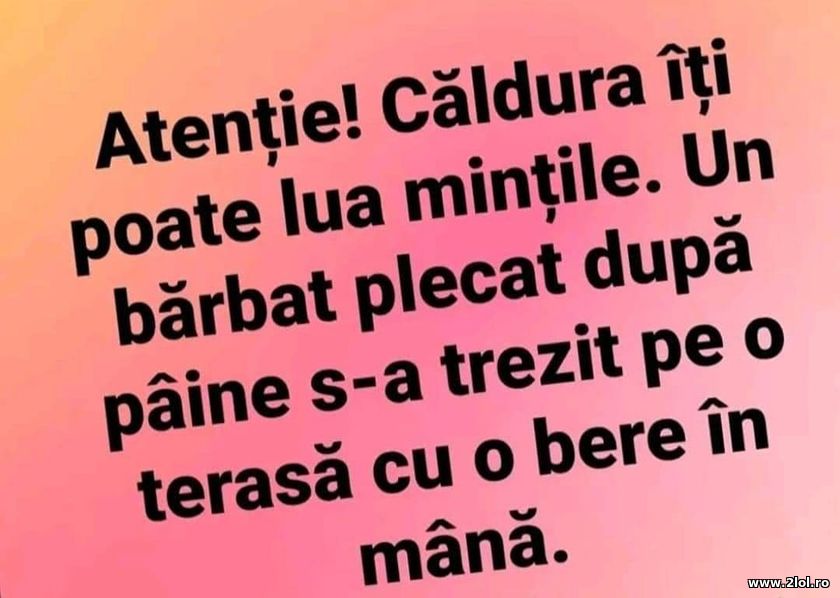 Caldura iti poate lua mintile | poze haioase