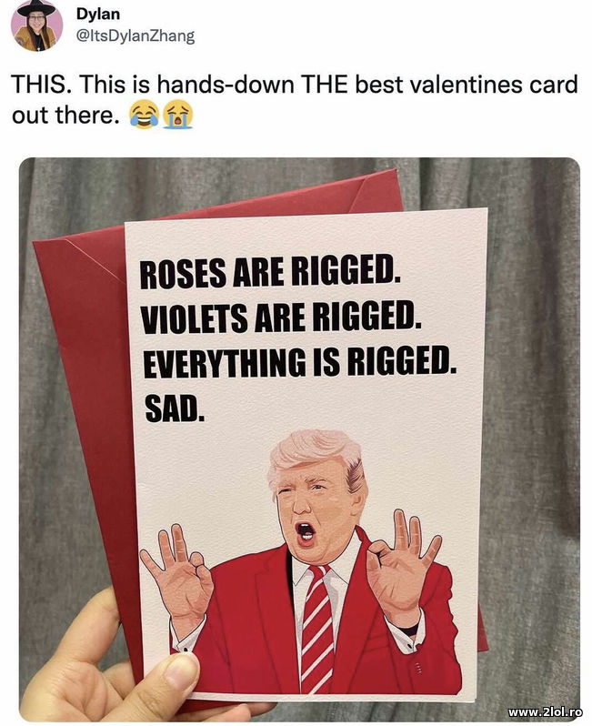 Everything is rigged- Donald Trump Valentines
