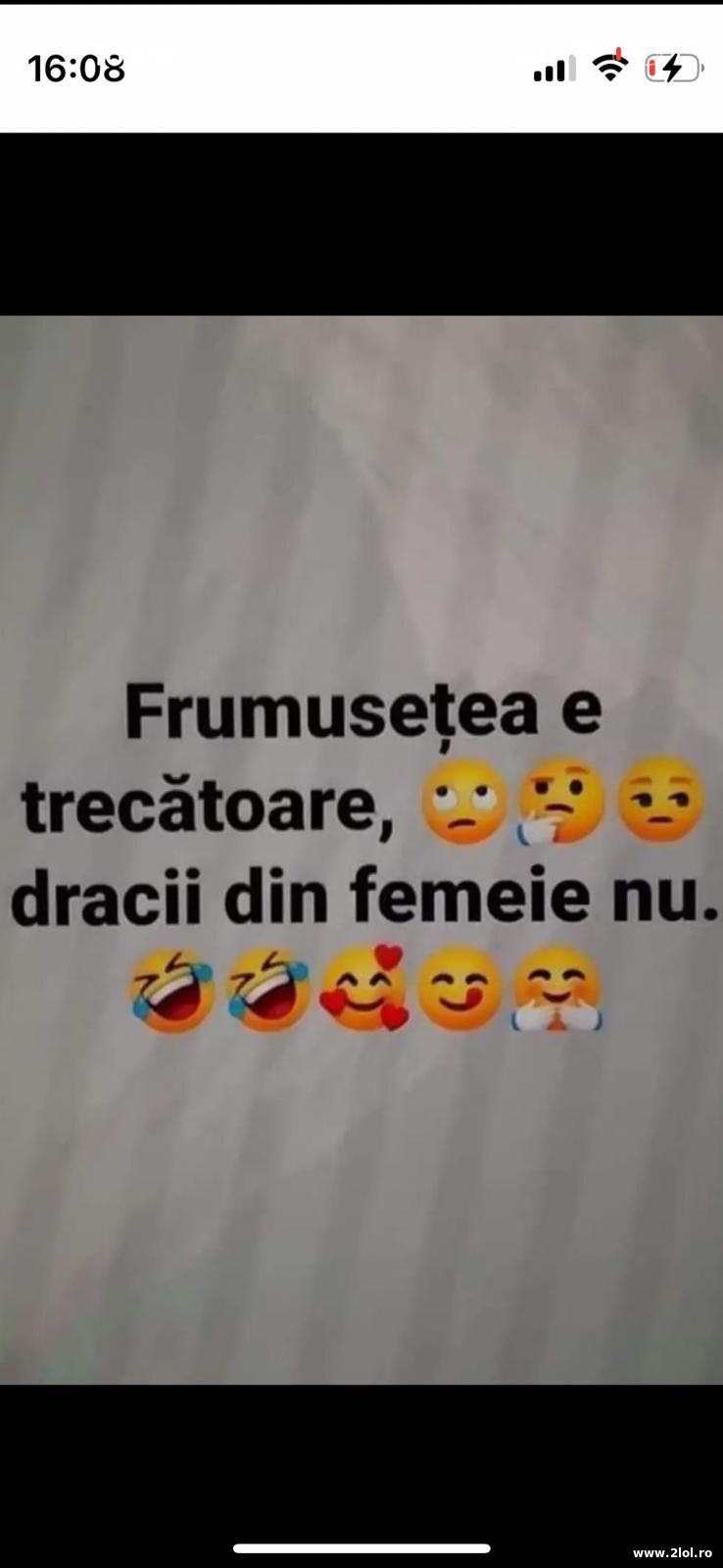 Frumusetea e trecatoare | poze haioase