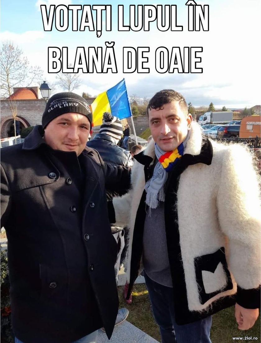 Votam lupul in blana de oaie | poze haioase