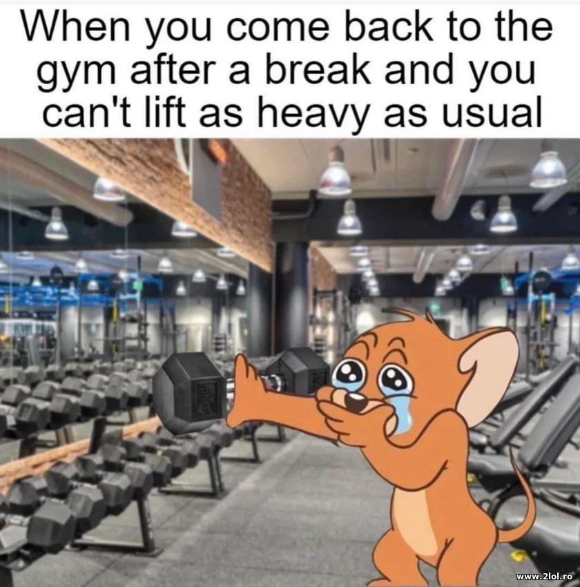 When you come back to the gym after a break | poze haioase