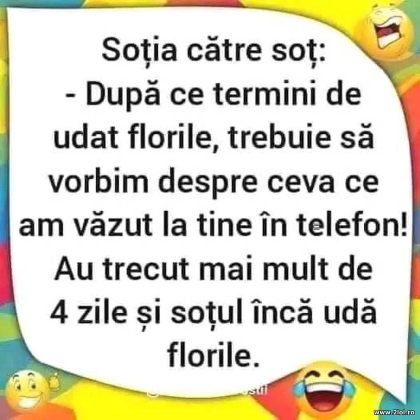 Dupa ce termini de udat florile, trebuie sa vorbim | poze haioase