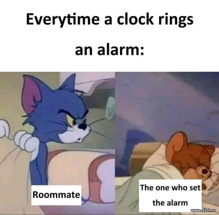 Everytime when an alarm rings - roommate | poze haioase
