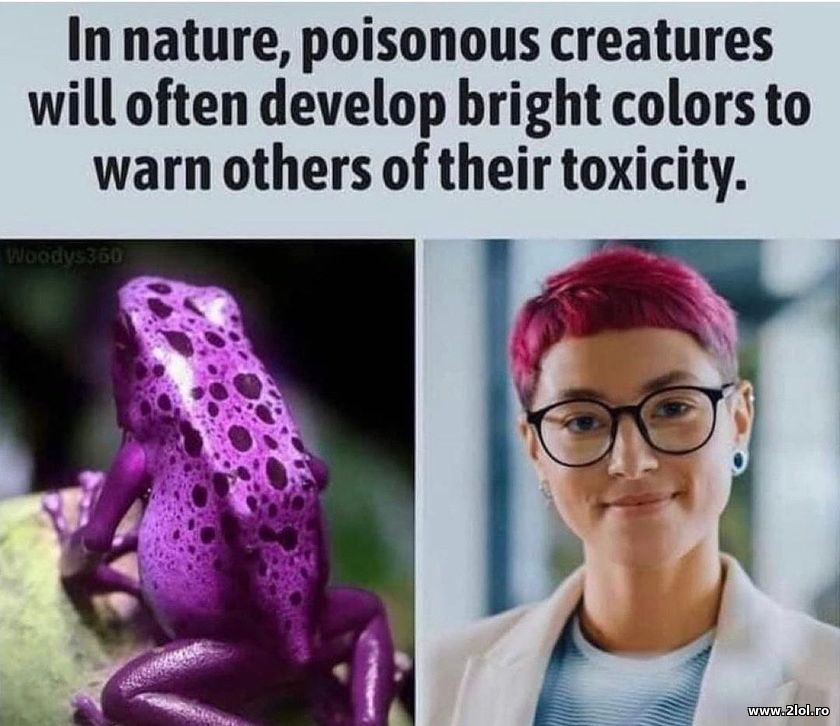 In nature, poisonous creatures will often develop | poze haioase