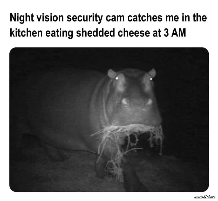 Night vision security can caches me in the | poze haioase