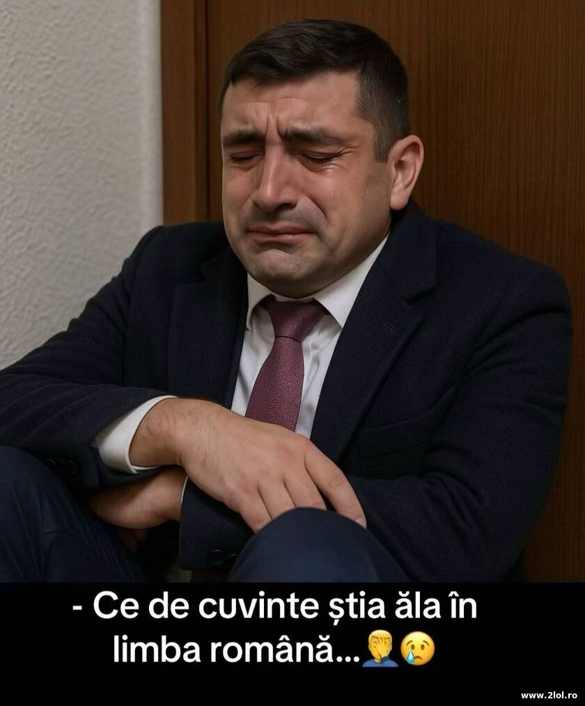 Ce cuvinte, Georgica | poze haioase