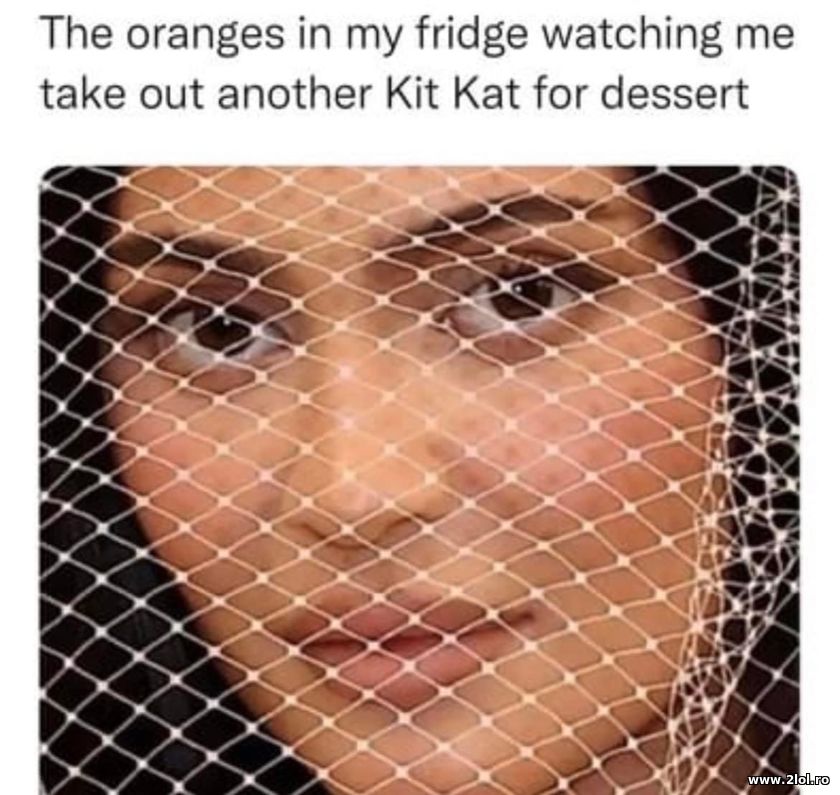 The orange in my fridge watching me | poze haioase