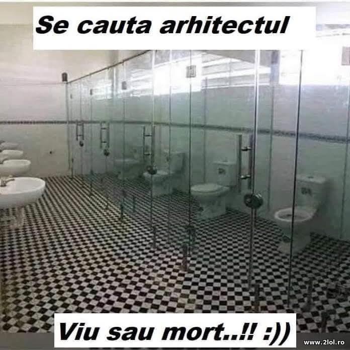 Se cauta arhitectul | poze haioase