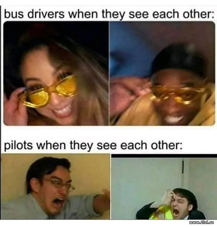 Bus drivers when they see each others. Pilots when | poze haioase